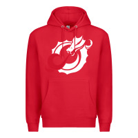 Red MSUM Dragons, Gear Premium Hoodie - linhVisuals