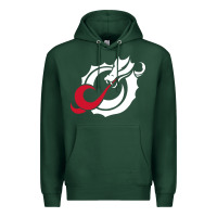 Sports Green MSUM Dragons, Gear Premium Hoodie - linhVisuals