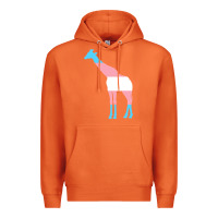 Carrot transgender flag ftm mtf trans pride Premium Hoodie - linhVisuals