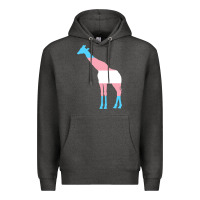 Charcoal Heather transgender flag ftm mtf trans pride Premium Hoodie - linhVisuals