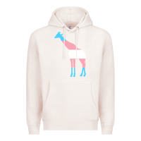 Pale Pink transgender flag ftm mtf trans pride Premium Hoodie - linhVisuals