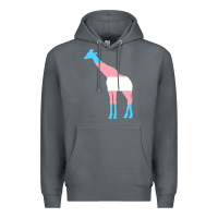 Rock transgender flag ftm mtf trans pride Premium Hoodie - linhVisuals