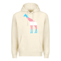 Sandshell transgender flag ftm mtf trans pride Premium Hoodie - linhVisuals