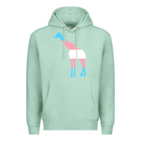 Seafoam transgender flag ftm mtf trans pride Premium Hoodie - linhVisuals