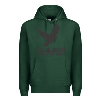 Sports Green noel gallagher's high flying birds classic Premium Hoodie - linhVisuals