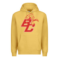 Antique Gold boyd county high school baseball Premium Hoodie - linhVisuals
