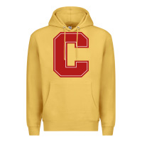 Antique Gold cornell big red Premium Hoodie - linhVisuals