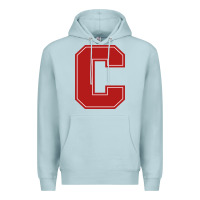 Blue Mist cornell big red Premium Hoodie - linhVisuals