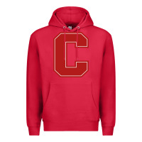 Cardinal cornell big red Premium Hoodie - linhVisuals