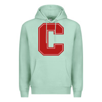 Seafoam cornell big red Premium Hoodie - linhVisuals