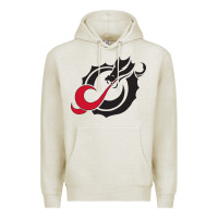 Oatmeal Heather MSUM Dragons, Gear Premium Hoodie - linhVisuals