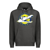 Charcoal Heather allegheny merch Premium Hoodie - linhVisuals
