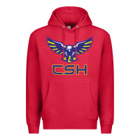 Cardinal cold springs high school Premium Hoodie - linhVisuals