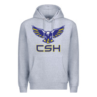 Heather Grey cold springs high school Premium Hoodie - linhVisuals