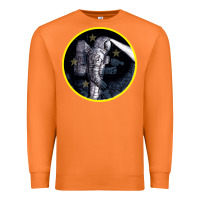 Carrot Space Travel Premium Sweatshirt - Bettercallsaul