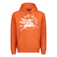 Carrot ivory pegasus Premium Hoodie - linhVisuals