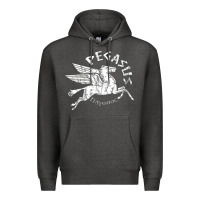 Charcoal Heather ivory pegasus Premium Hoodie - linhVisuals