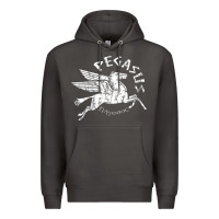 Smoke ivory pegasus Premium Hoodie - linhVisuals