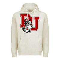 Oatmeal Heather bu university terries champion Premium Hoodie - linhVisuals
