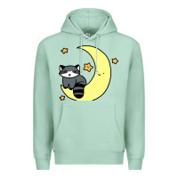 Seafoam crescent moon raccoon Premium Hoodie - linhVisuals