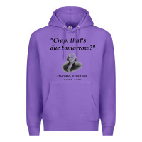 Purple funny thomas jefferson usa history teacher student gift t shirt Premium Hoodie - linhVisuals