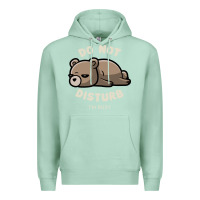 Seafoam do not disturb i'm busy funny lazy gift Premium Hoodie - linhVisuals