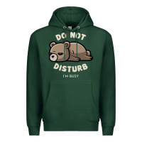 Sports Green do not disturb i'm busy funny lazy gift Premium Hoodie - linhVisuals