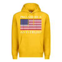 Lemon pro america anti trump shirt   american usa flag resist t shirt Premium Hoodie - linhVisuals