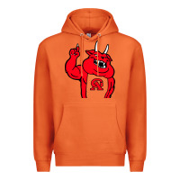 Carrot glynn academy mascot Premium Hoodie - linhVisuals