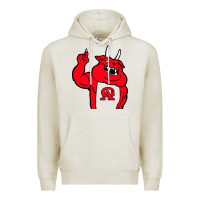 Oatmeal Heather glynn academy mascot Premium Hoodie - linhVisuals