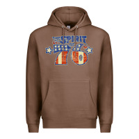 Chestnut spirit of 76    bicentennial Premium Hoodie - linhVisuals