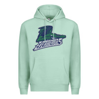 Seafoam florida everblades Premium Hoodie - linhVisuals