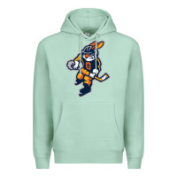 Seafoam greenville swamp rabbits Premium Hoodie - linhVisuals
