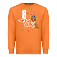 Carrot 8 years old Premium Sweatshirt - Bettercallsaul