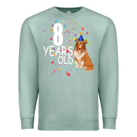 Seafoam 8 years old Premium Sweatshirt - Bettercallsaul