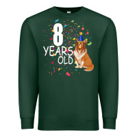 Sports Green 8 years old Premium Sweatshirt - Bettercallsaul