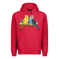 Cardinal cute budgies Premium Hoodie - linhVisuals