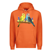 Carrot cute budgies Premium Hoodie - linhVisuals