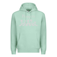 Seafoam peanuts Premium Hoodie - linhVisuals