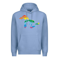 All Michigan Great Lakes Rainbow Colors Premium Hoodie | Teevron