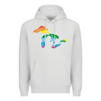 Dove Grey all michigan great lakes rainbow colors Premium Hoodie - linhVisuals
