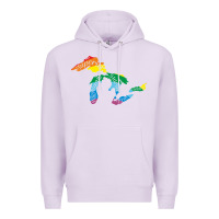 Lilac all michigan great lakes rainbow colors Premium Hoodie - linhVisuals