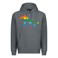 Rock all michigan great lakes rainbow colors Premium Hoodie - linhVisuals