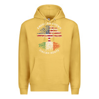 Antique Gold american grown italian roots usa italy flag tree Premium Hoodie - linhVisuals