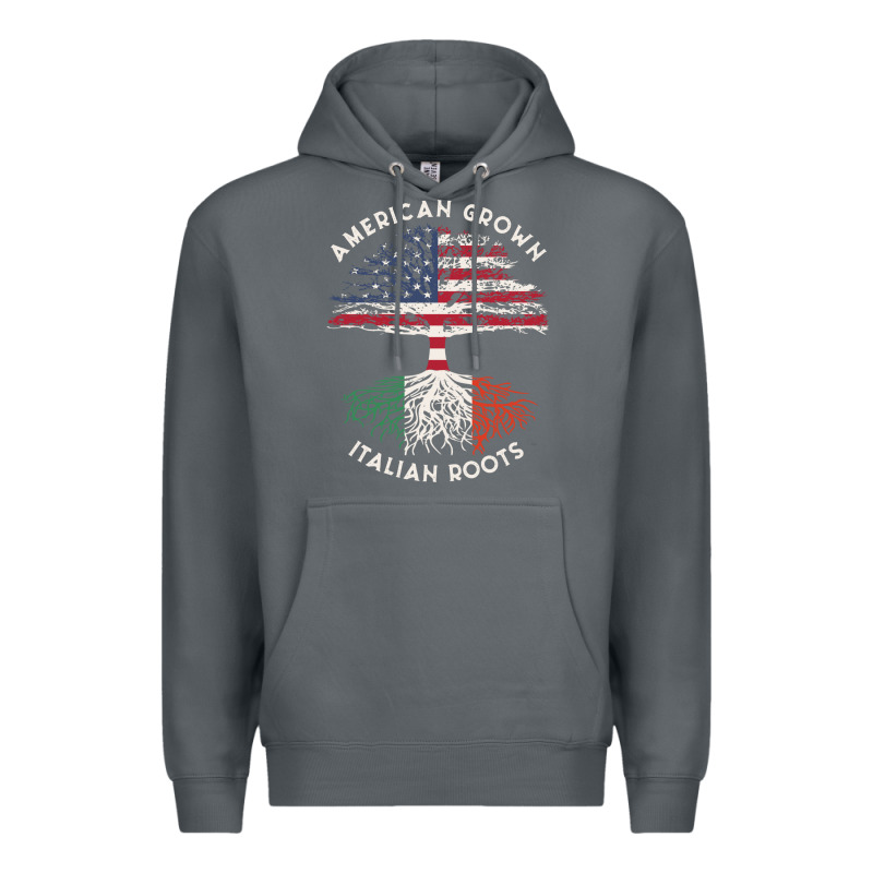 American Grown Italian Roots Usa Italy Flag Tree Premium Hoodie by linhVisuals | Teevron