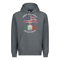 Rock american grown italian roots usa italy flag tree Premium Hoodie - linhVisuals