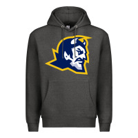 Charcoal Heather mt lebanon high school Premium Hoodie - linhVisuals