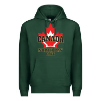 Sports Green north bay ontario on a cool Premium Hoodie - linhVisuals
