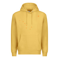 Antique Gold flag of alaska Premium Hoodie - linhVisuals
