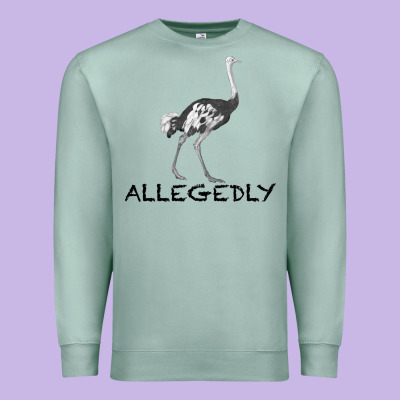 Allegedly Premium Sweatshirt Designed By Bettercallsaul